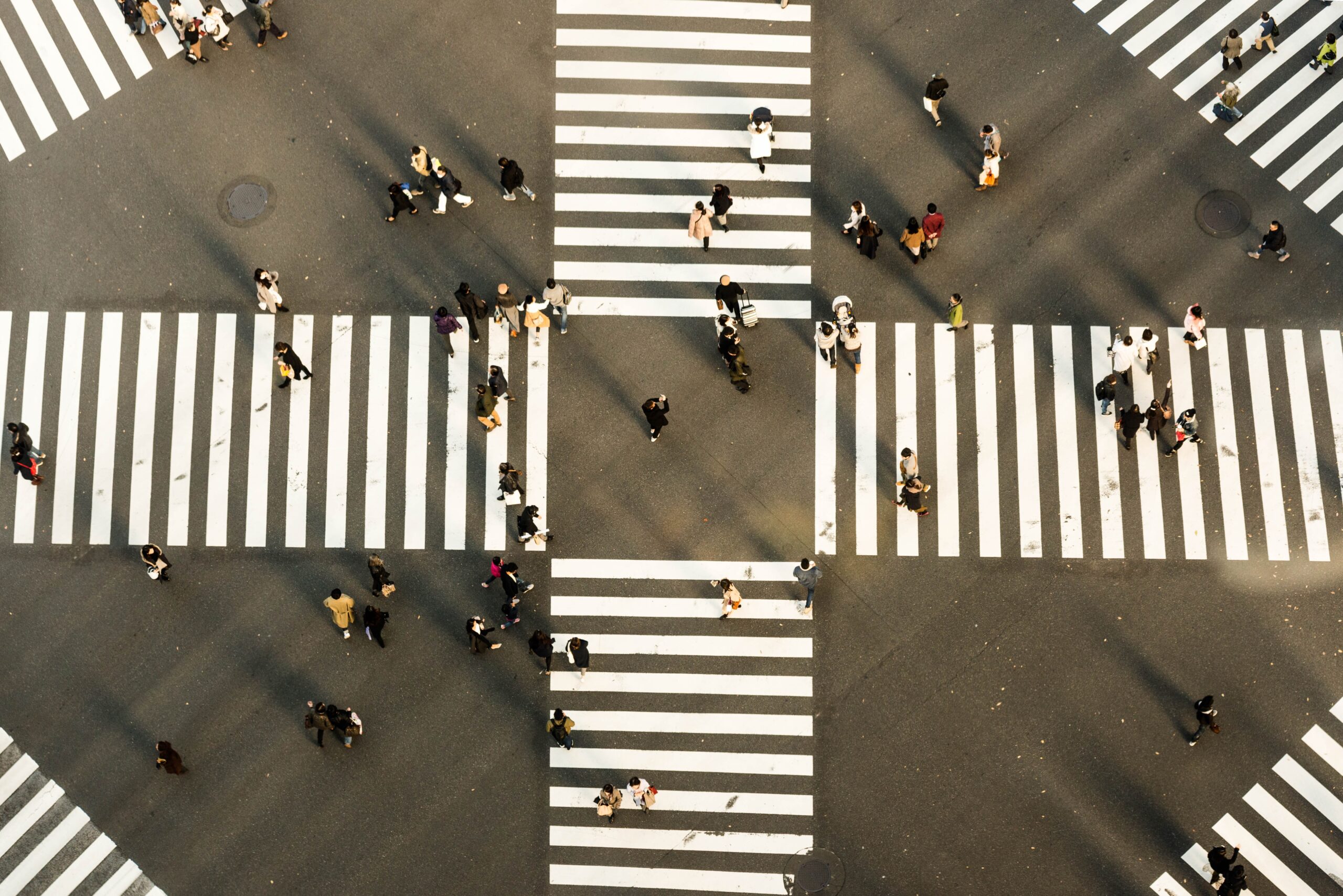 Independent Contractor Misclassification and Compliance News December 2024