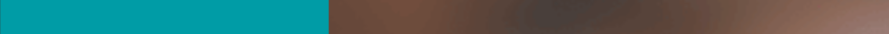 37-percent-bar 37-percent-bar